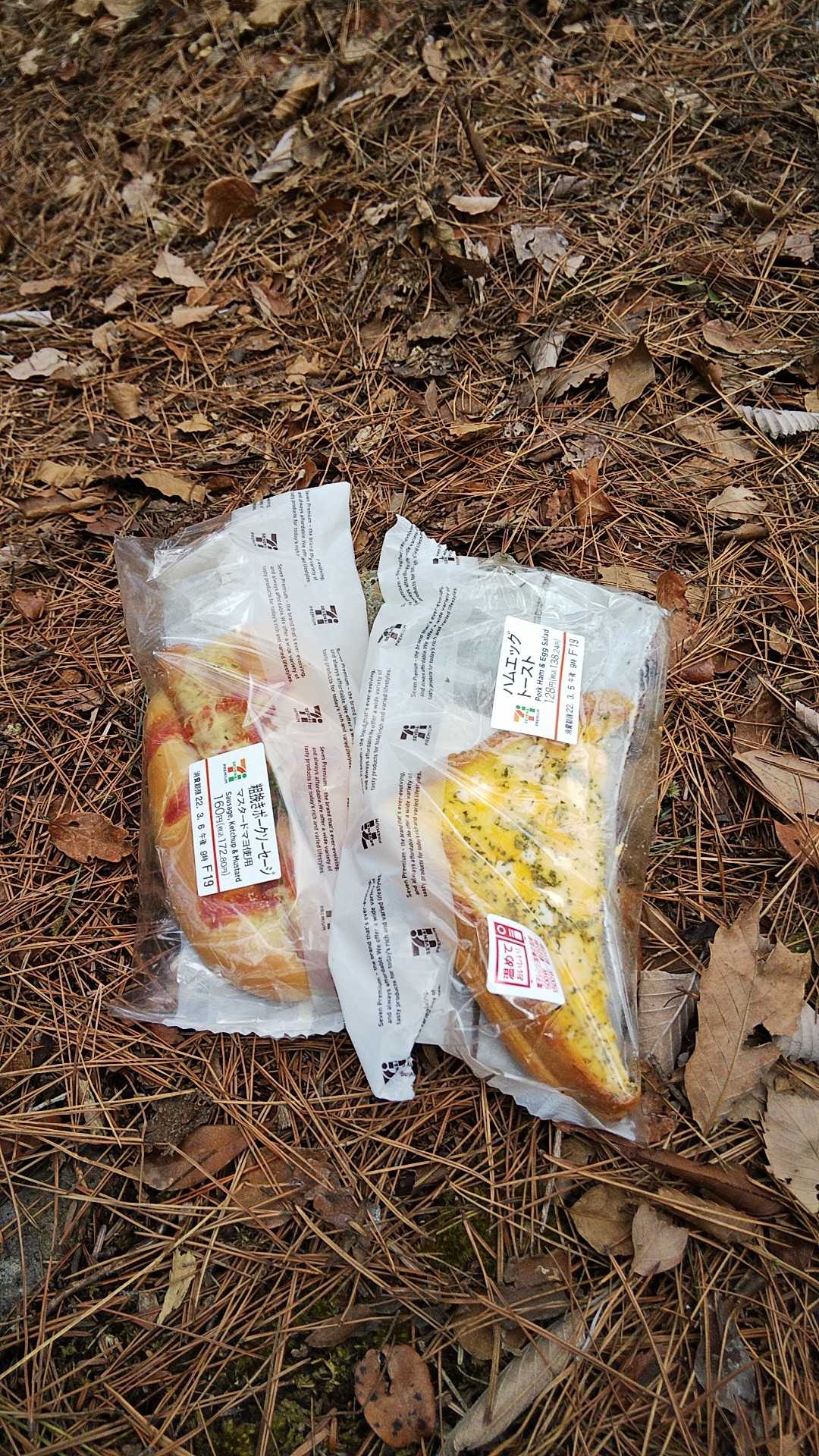 お腹が空いたので、ここでランチタイム。いつも雑いな～
