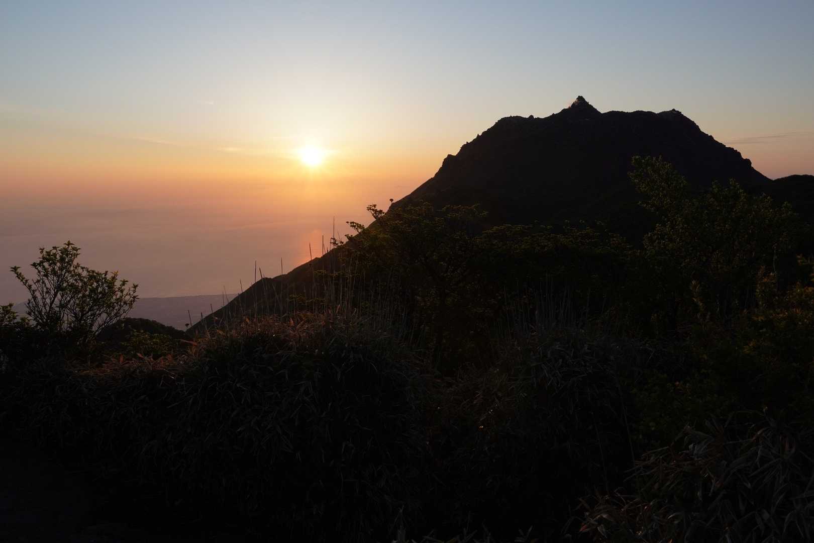 登りました。