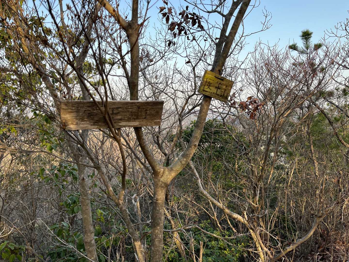 本日ラストの医王山🚩、今日は14座ゲット😎