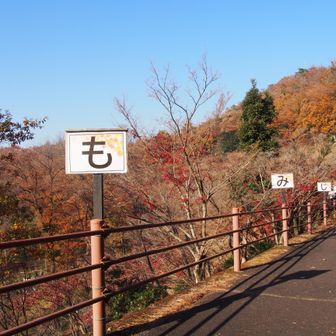 もみじ谷はもうおしまいでした