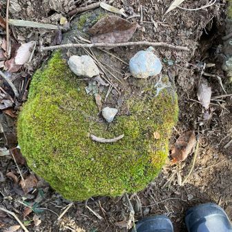 こちらも整形しておきました😆

枝筑波🪾どこ行ったんだろ？