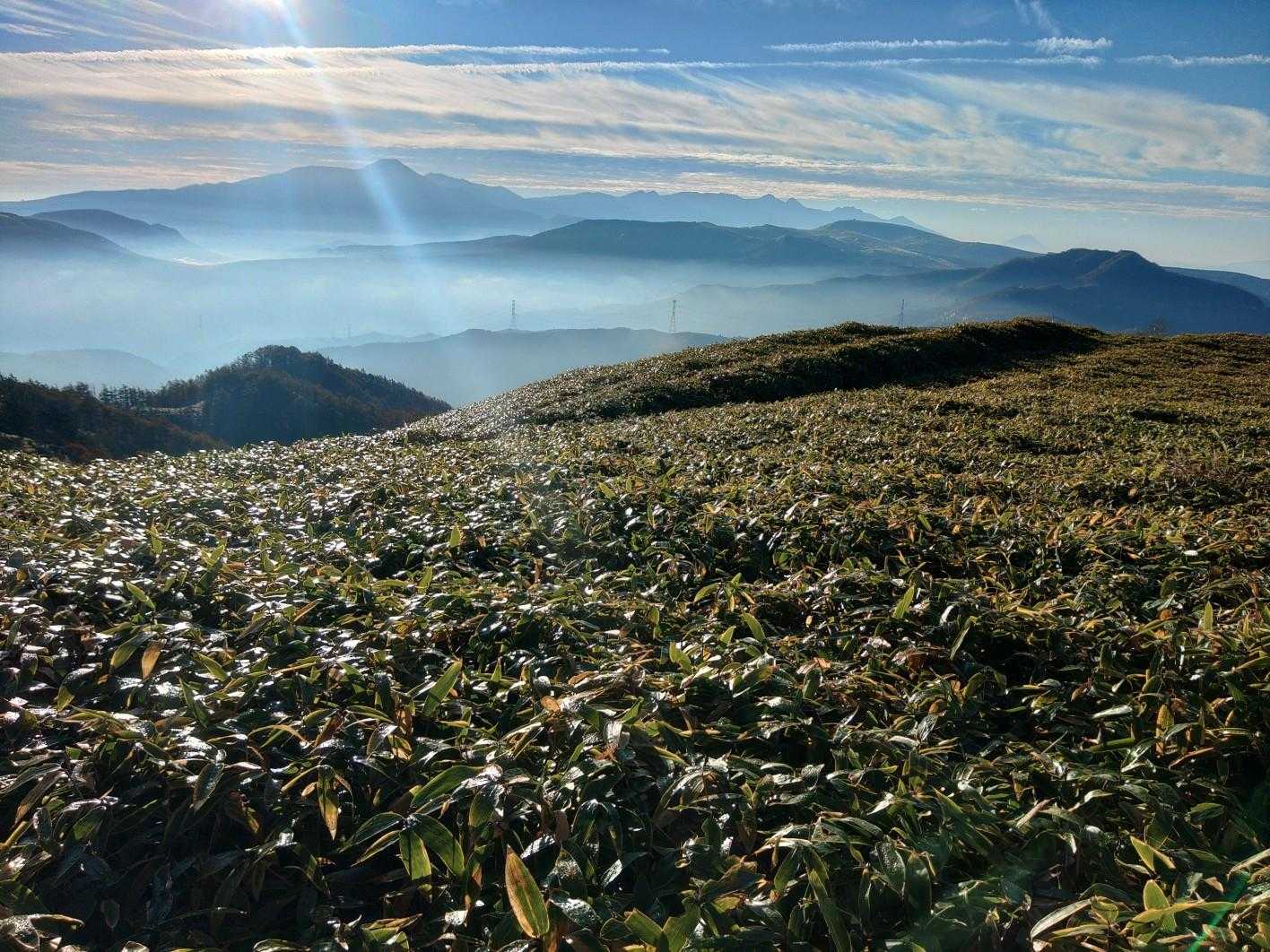 三峰山-二ッ山 往復コースの写真