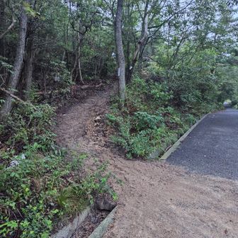 今日はれいわ新道で上ります