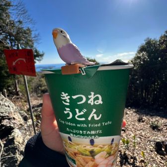 今日はきつねうどん😍