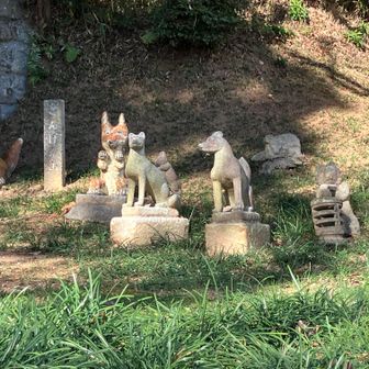 たくさんいます。