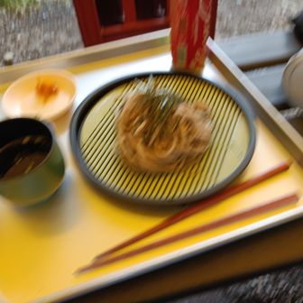 ざる蕎麦&コーラ@大門沢小屋、ピンボケ