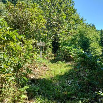 胎蔵山の登山口、朝逆光で撮れなかった。