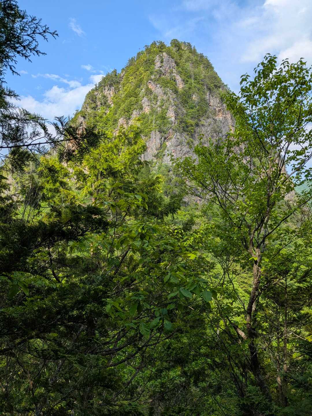 赤岩峠登山口-赤岩峠-大ナゲシ 往復コースの写真