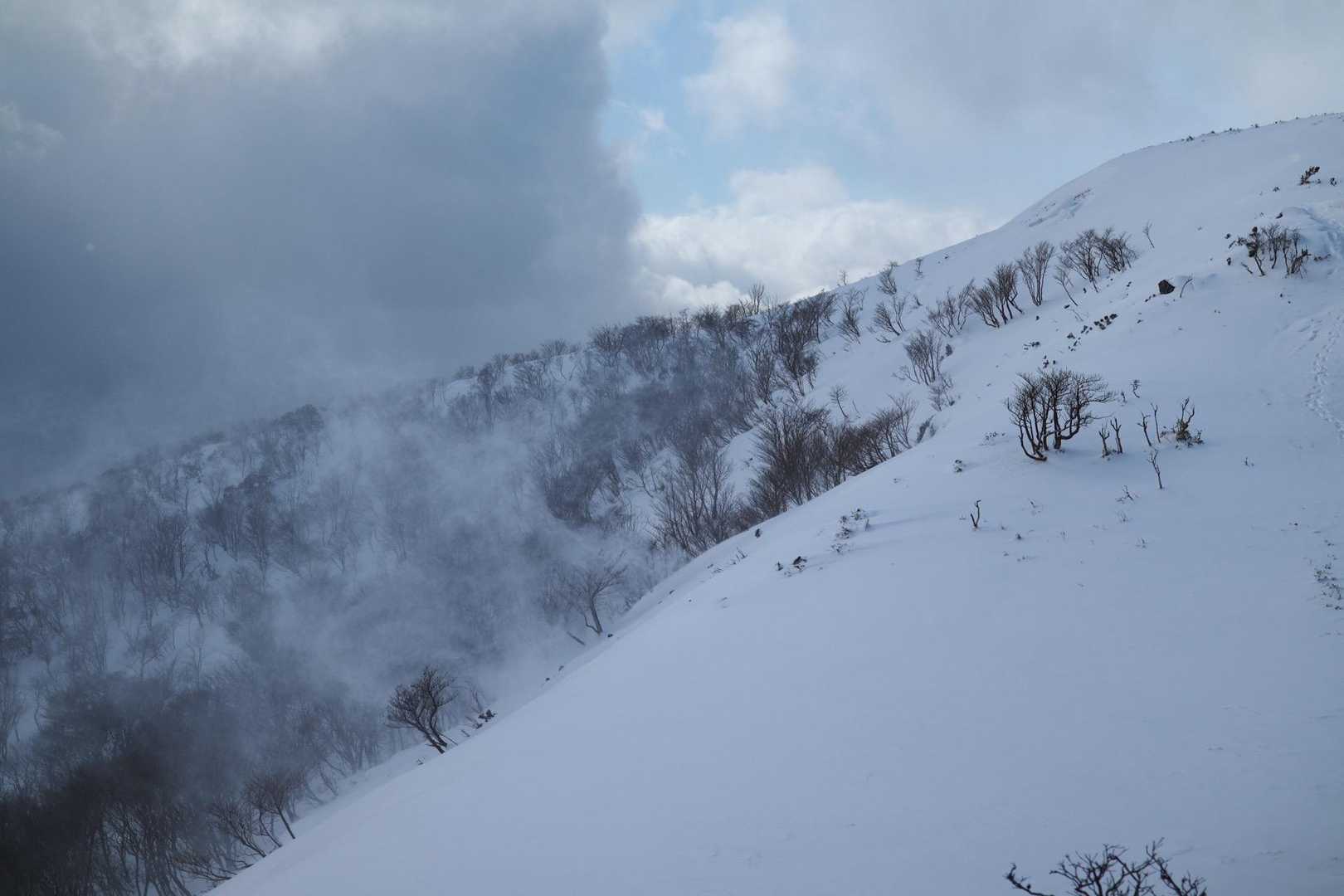 強風で雪が舞い上がる🌪️