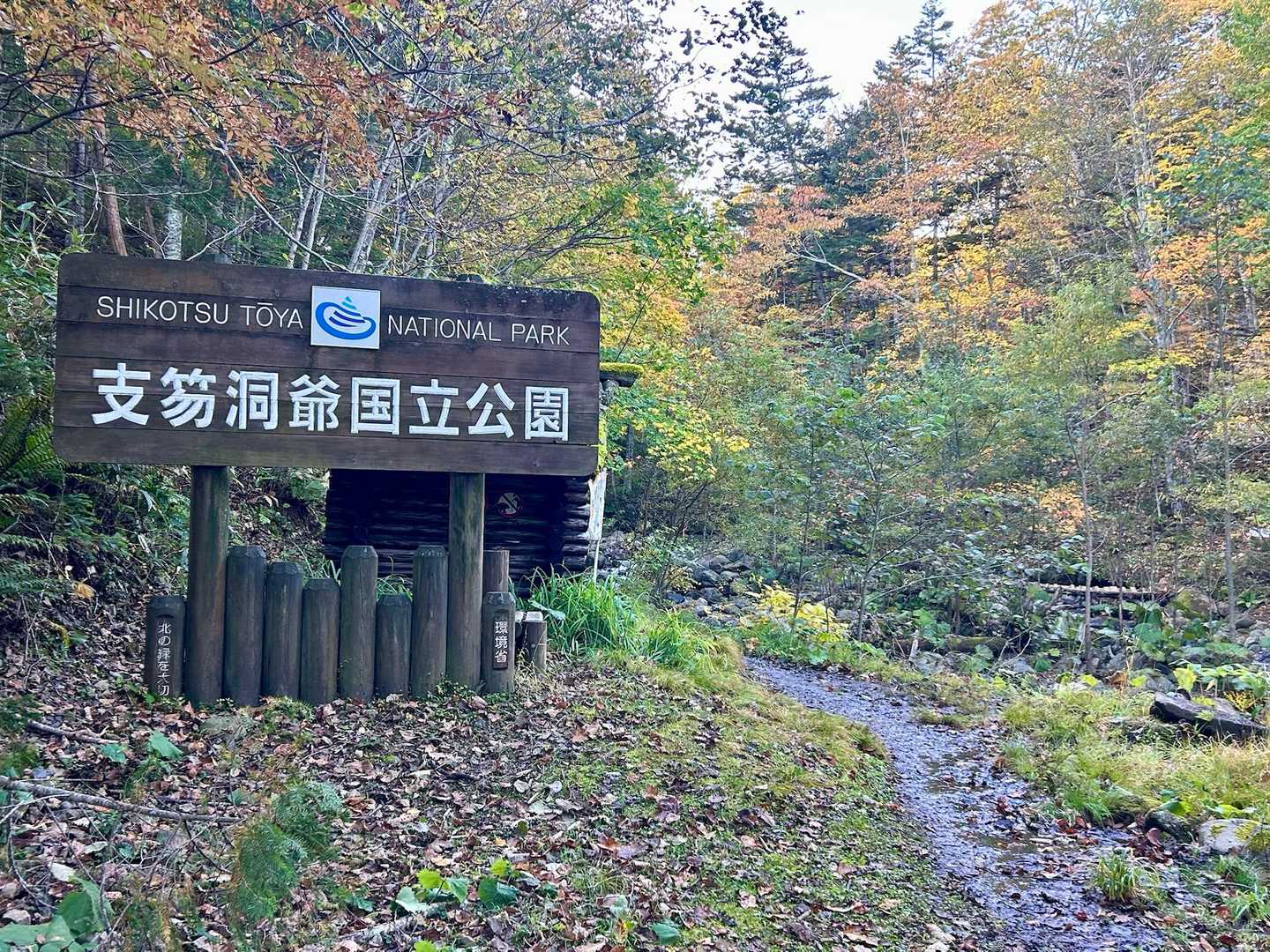 ここから登山道🪧