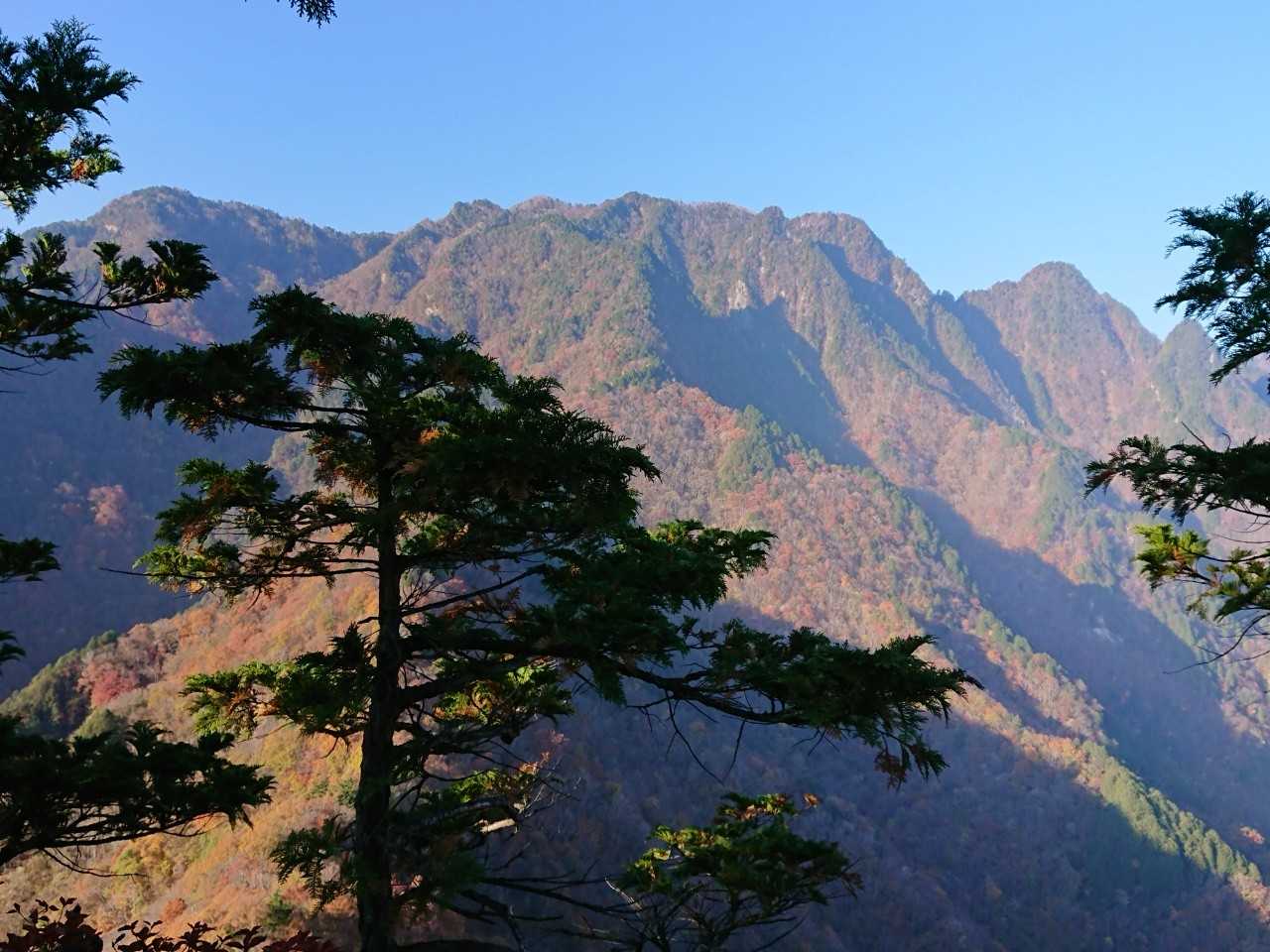 うわーーーー！
というナナメさんの歓声が聞こえて、どうやら天理岳南峰に、着いたらしい。
鋸岳とも呼ばれる両神山のギザギザが見えてきて、感激✨
かっちょえええええええ👍
元々平坦な地形だったものが何万年もかけて削られてああなったらしく、丘みたいに見えるのは、平坦だった頃の名残なんだそうだ。
想像できないけど…。

ともかく、間近で両神山を遥拝することができて嬉しい😆
テンションMAX⤴️⤴️