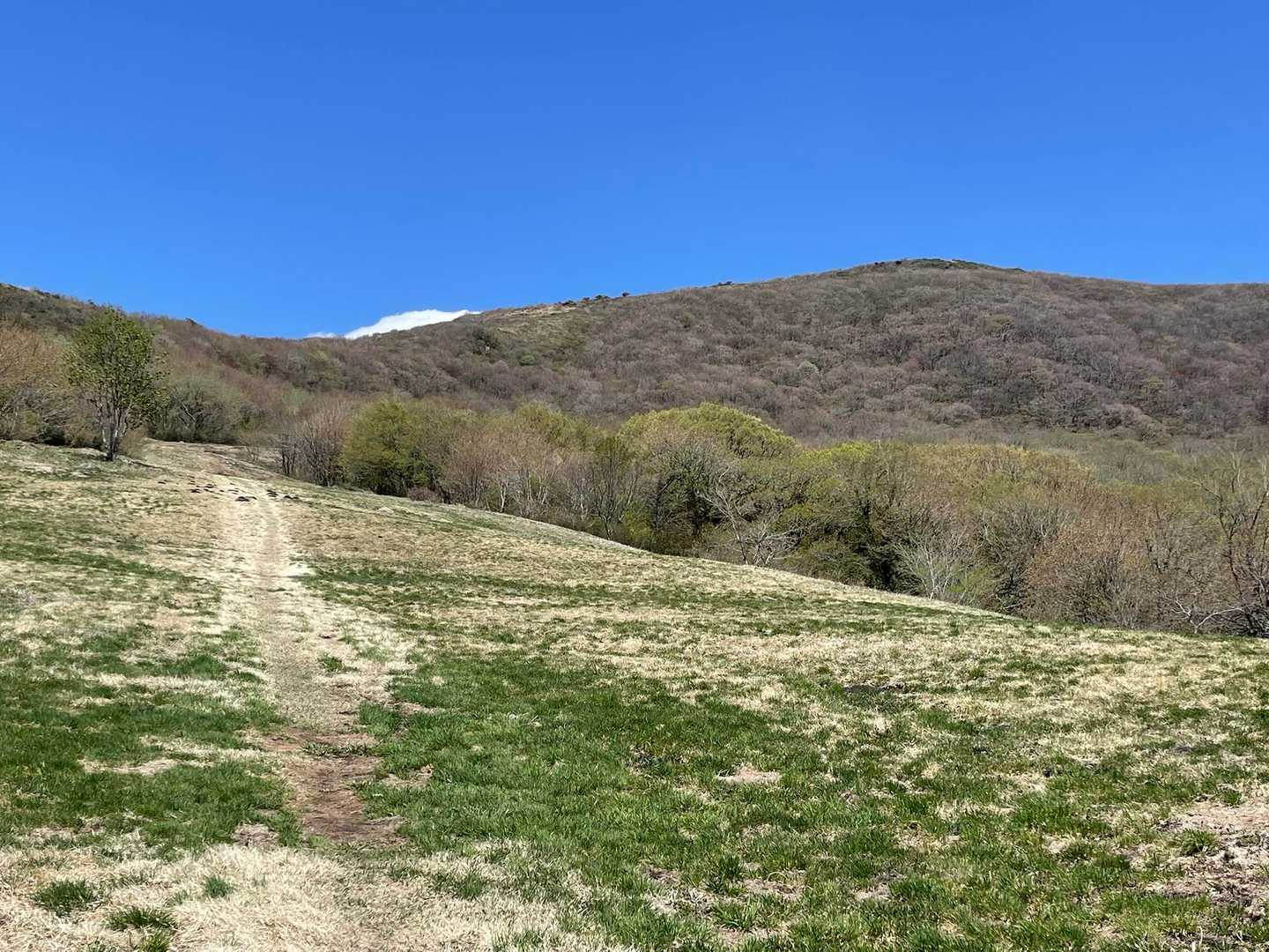 吾妻山へ🏃‍➡️