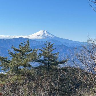 うん、今日来てよかった😊