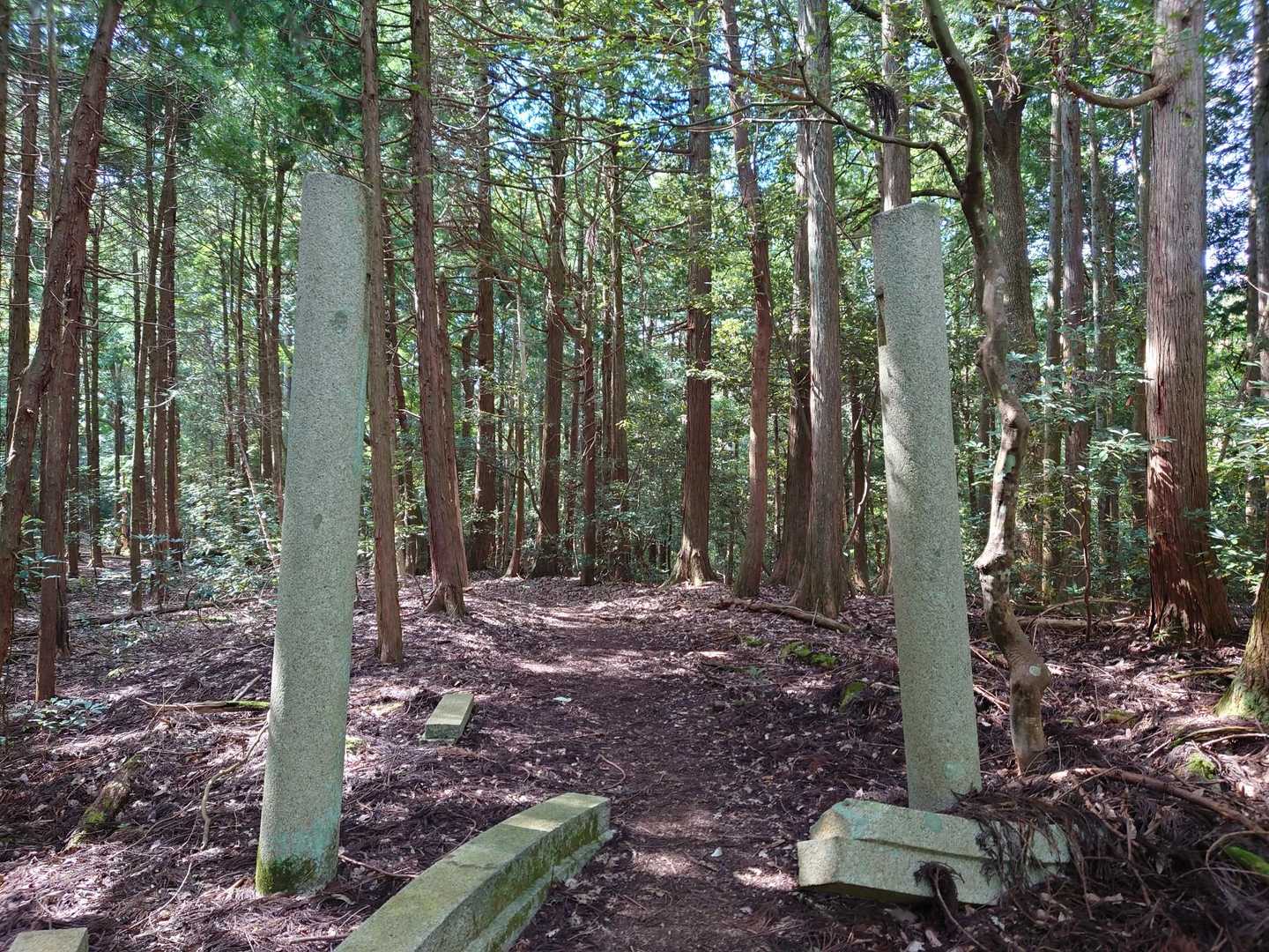 鳥居が壊れています。