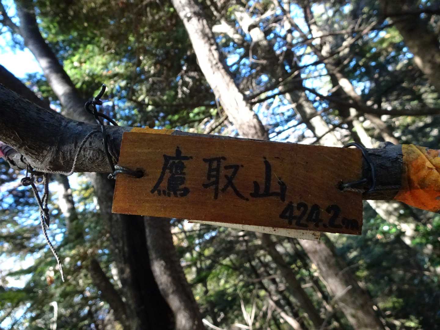 海さんのかな？
小さい山名板ありました♪
展望は無かったので