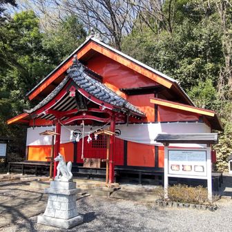稲荷神社、この裏から山に入ります