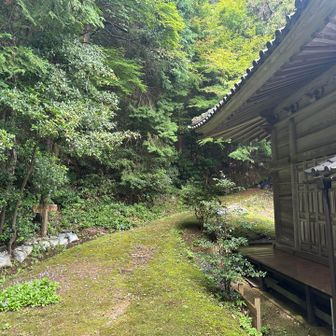 横からが登山道のようです