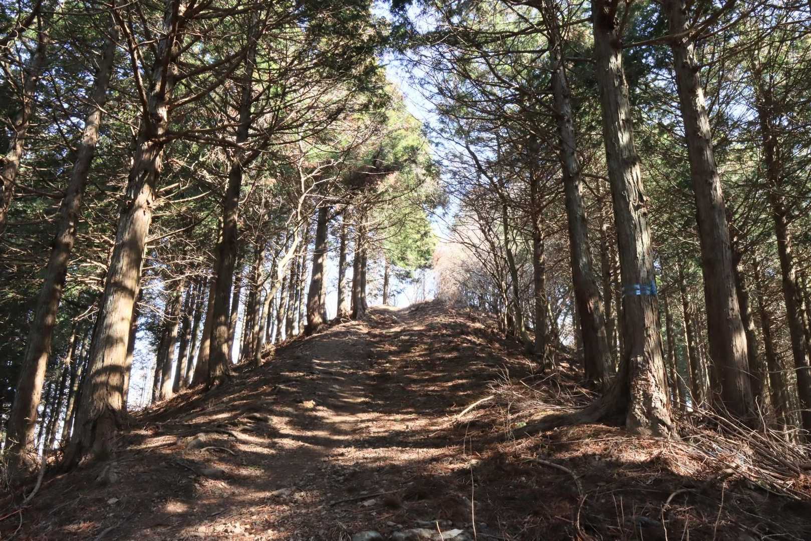 堂平山へ向かいます。気持ちの良い道。
