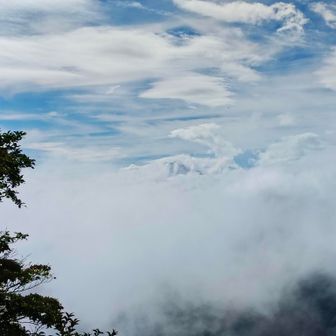 あれ！あの雲の中に若干色の濃いところ！あれが今日の富士山です！そうに違いないのです。