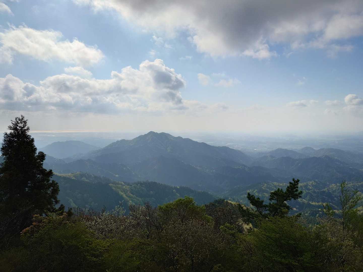 鈴鹿峠-三子山-四方草山 往復コースの写真