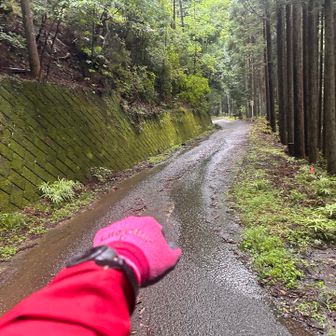 小降りになり、なんとか乗り切ったよー

それにしてもすごい色！これってアタオカって感じですかー⁉︎