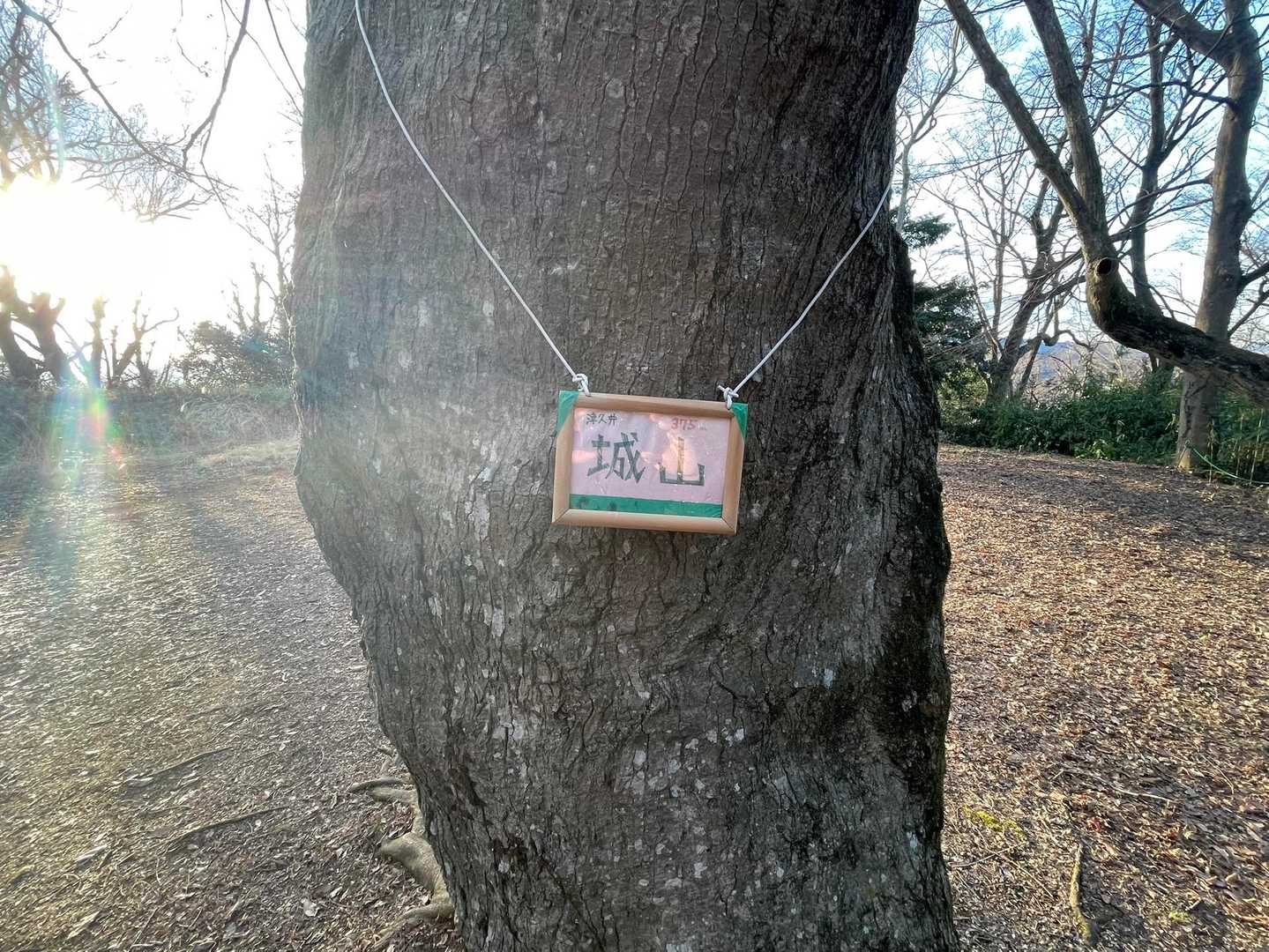 城山 往復コースの写真