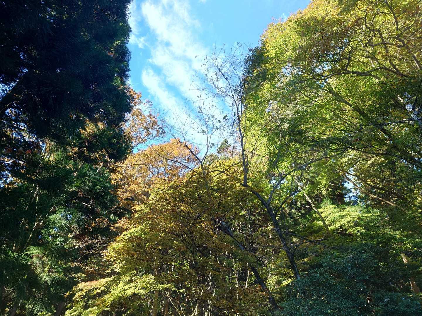 不思議な形の雲
