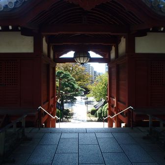 では戻ります