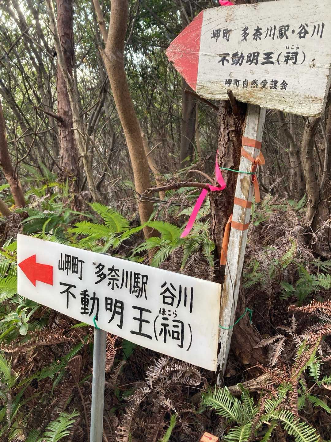 高森山 往復コースの写真