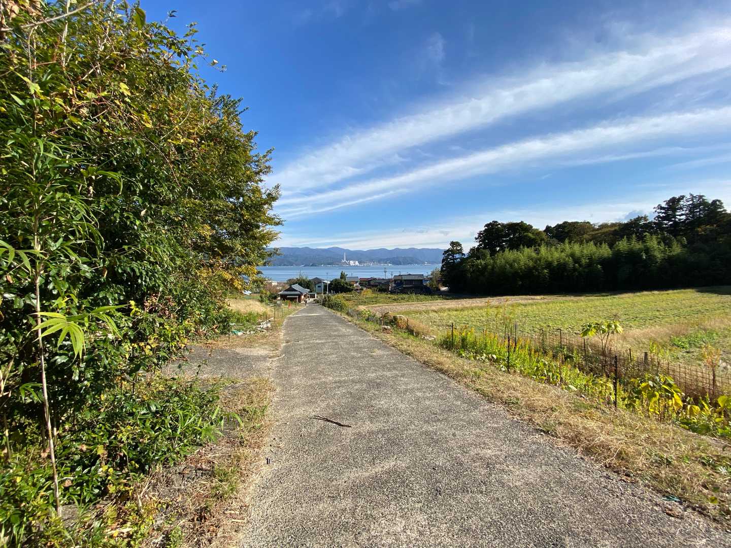 下りてきました。
