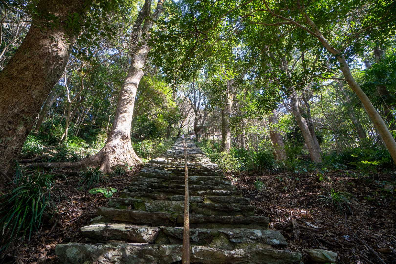 飯盛神社への階段・・・キツイトコ