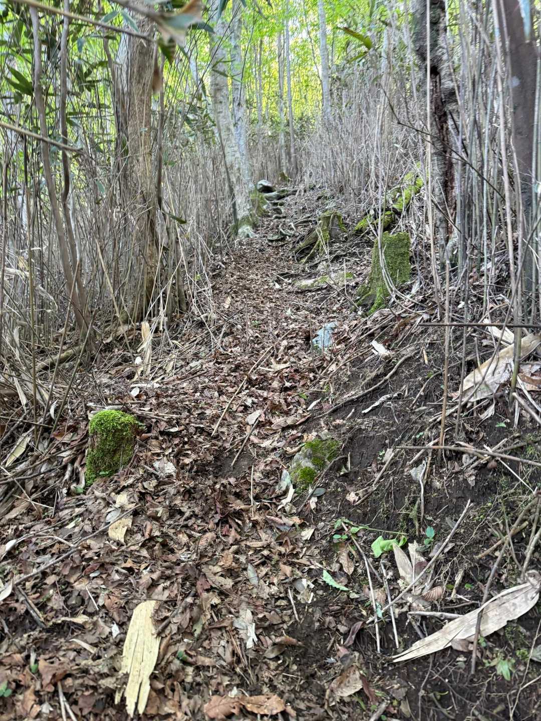 クマササの激登り。。。
かなりの急勾配💦