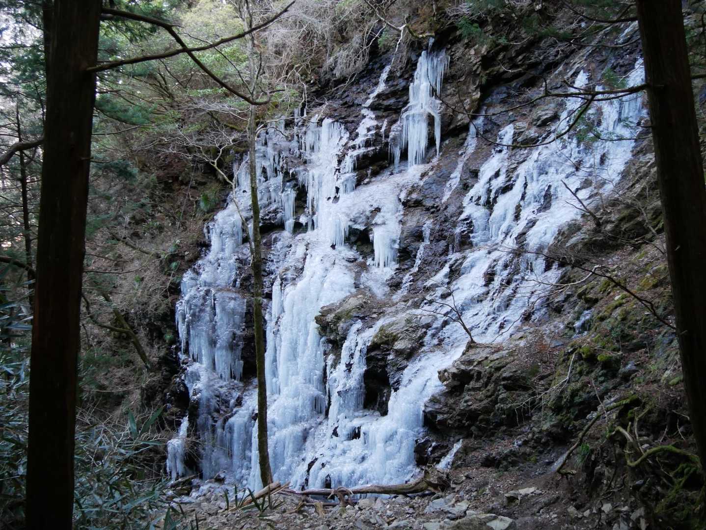 富士見岳-駒引峠 周回コースの写真