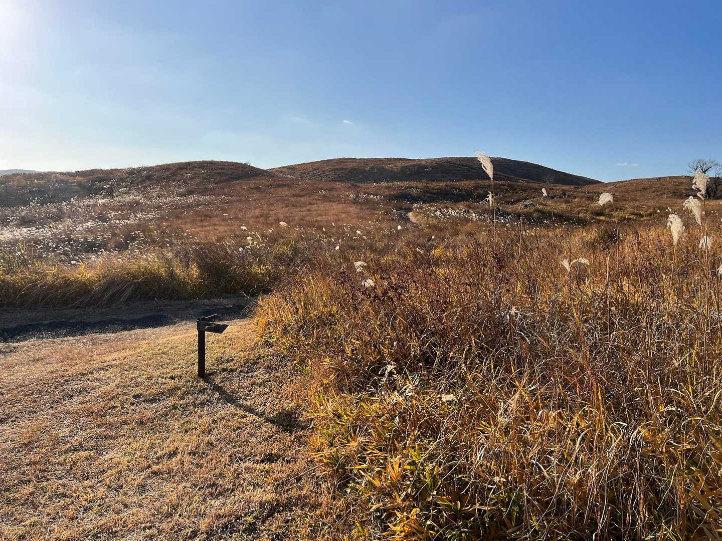 長者ヶ森登山口-北山 往復コースの写真