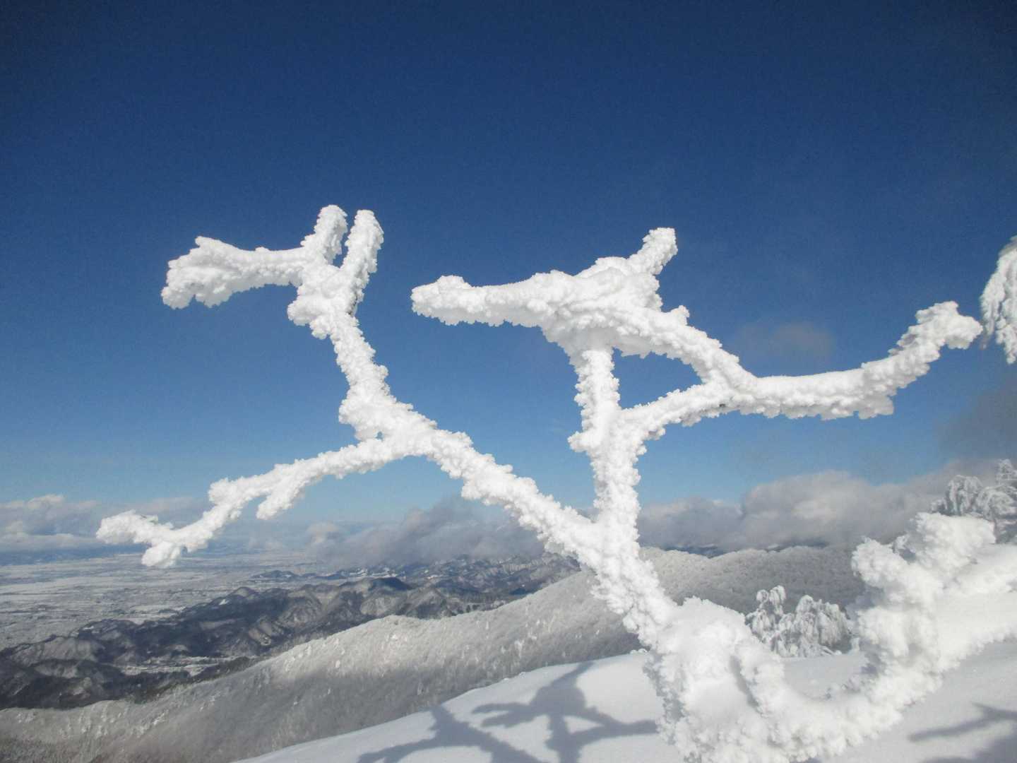 青空