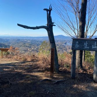 着きましたー✨