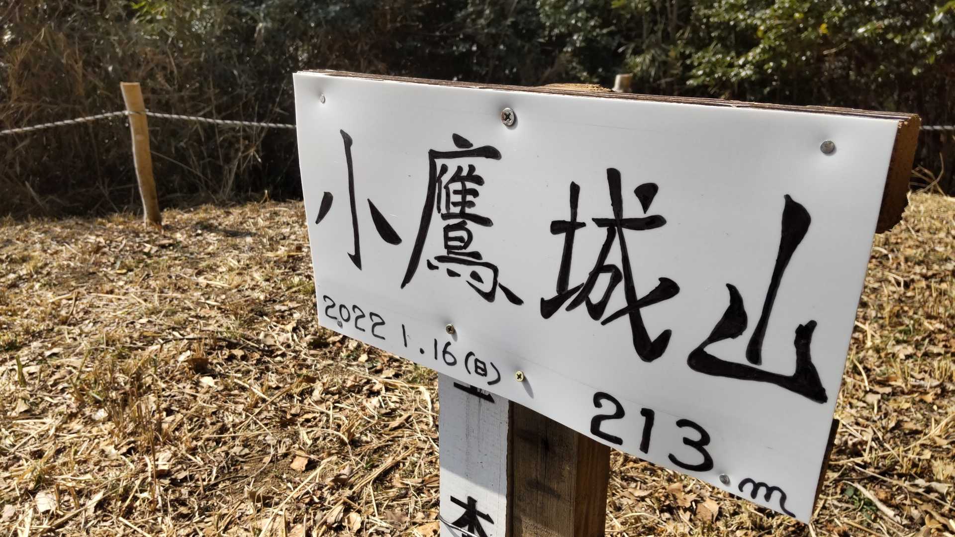 ラスト～👏👏👏
これにて終了😤
少し頑張ったった😤
ではいつものルーティンへ🐦️w