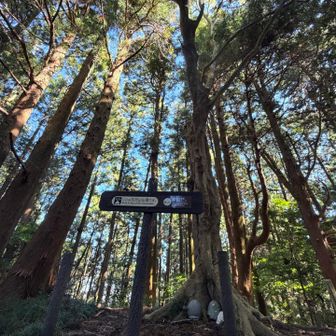 花沢山山頂