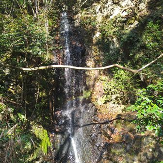 お！
下りていくと先ほどとは違う水系の滝が現れた