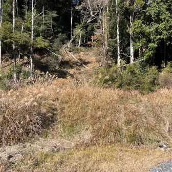 ここに降りてきました。