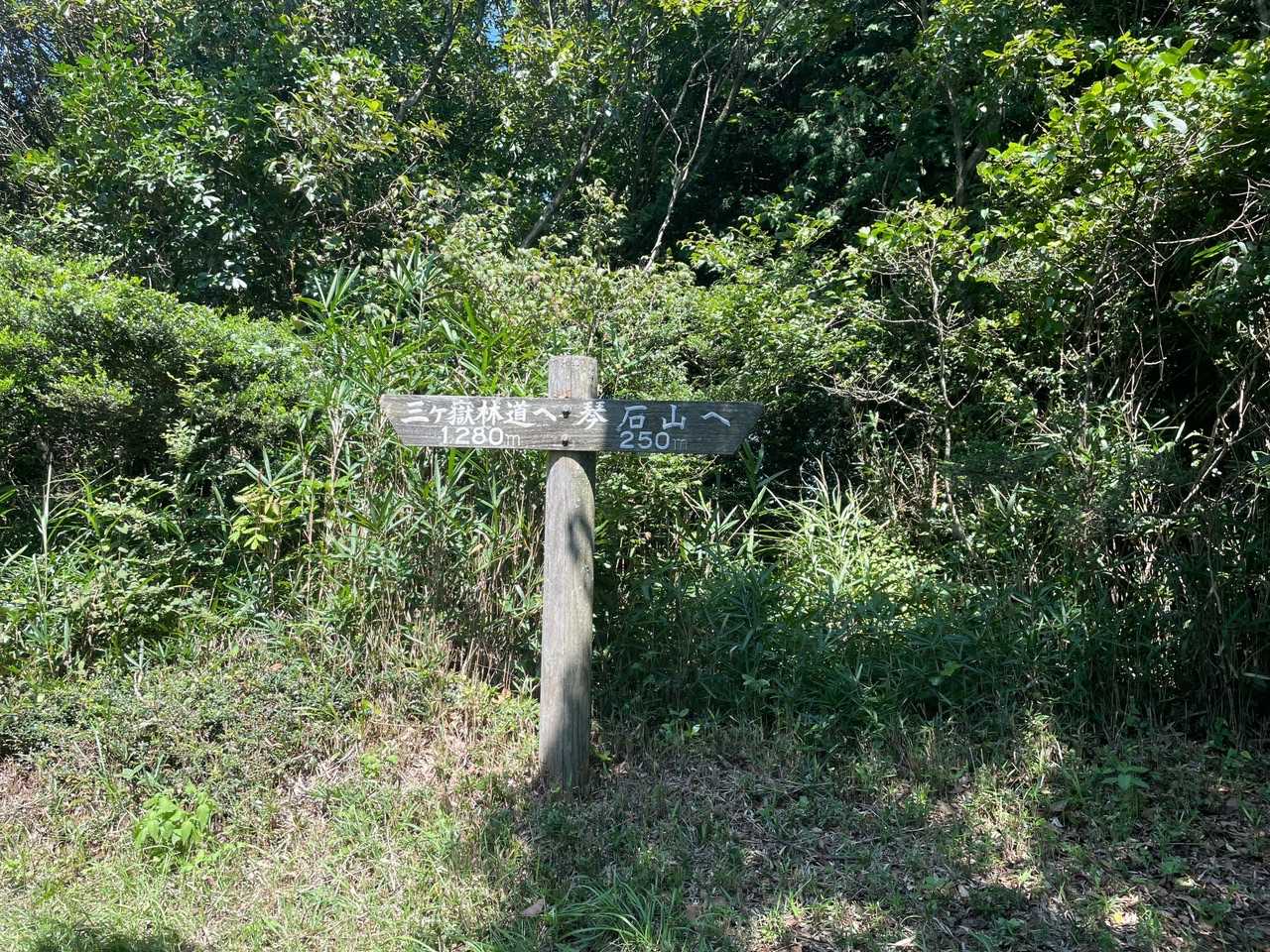 長〜い休憩後にもう一度気持ちを奮い立たせて登山再開！😅
分岐を右に。あと250メートル！