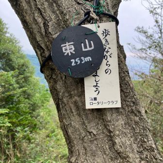 東山⛰️山頂