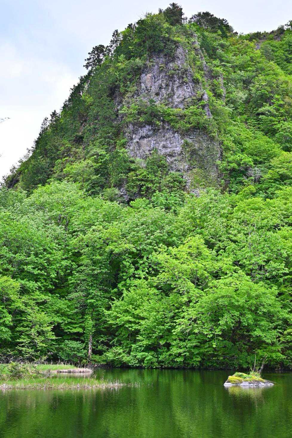 大沼