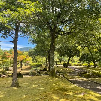 三里山と悩んでやってきた万葉の里味真野苑
整備されたきれいなお庭