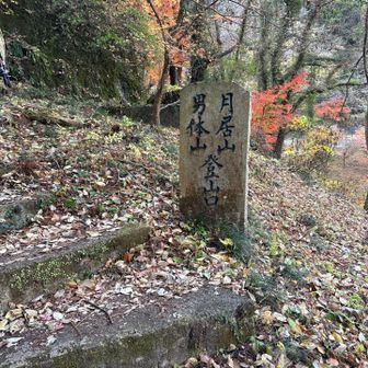 休憩所からほぼ直角に階段が付いています。
この登山道は、あまり人が行き来していない感じかな