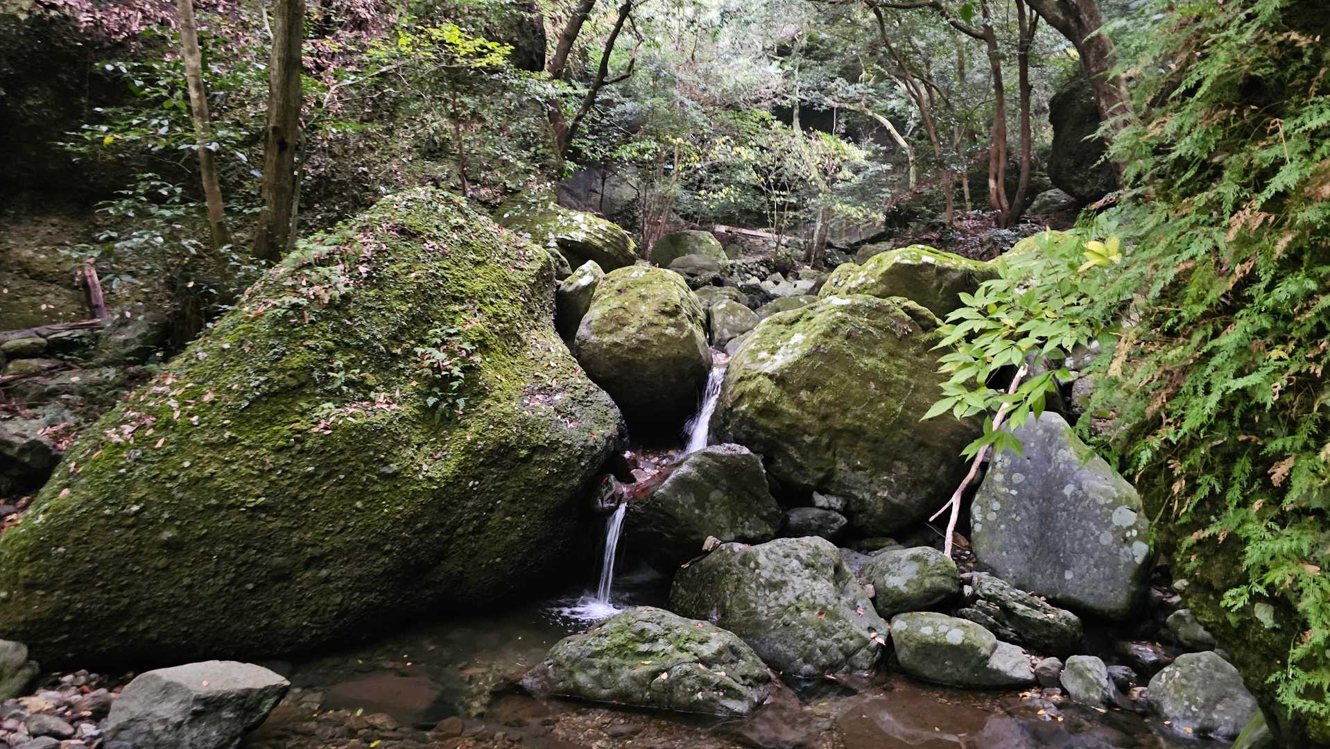 最強低山の呼び声高い、スリル満点の黒髪山定番コースの写真