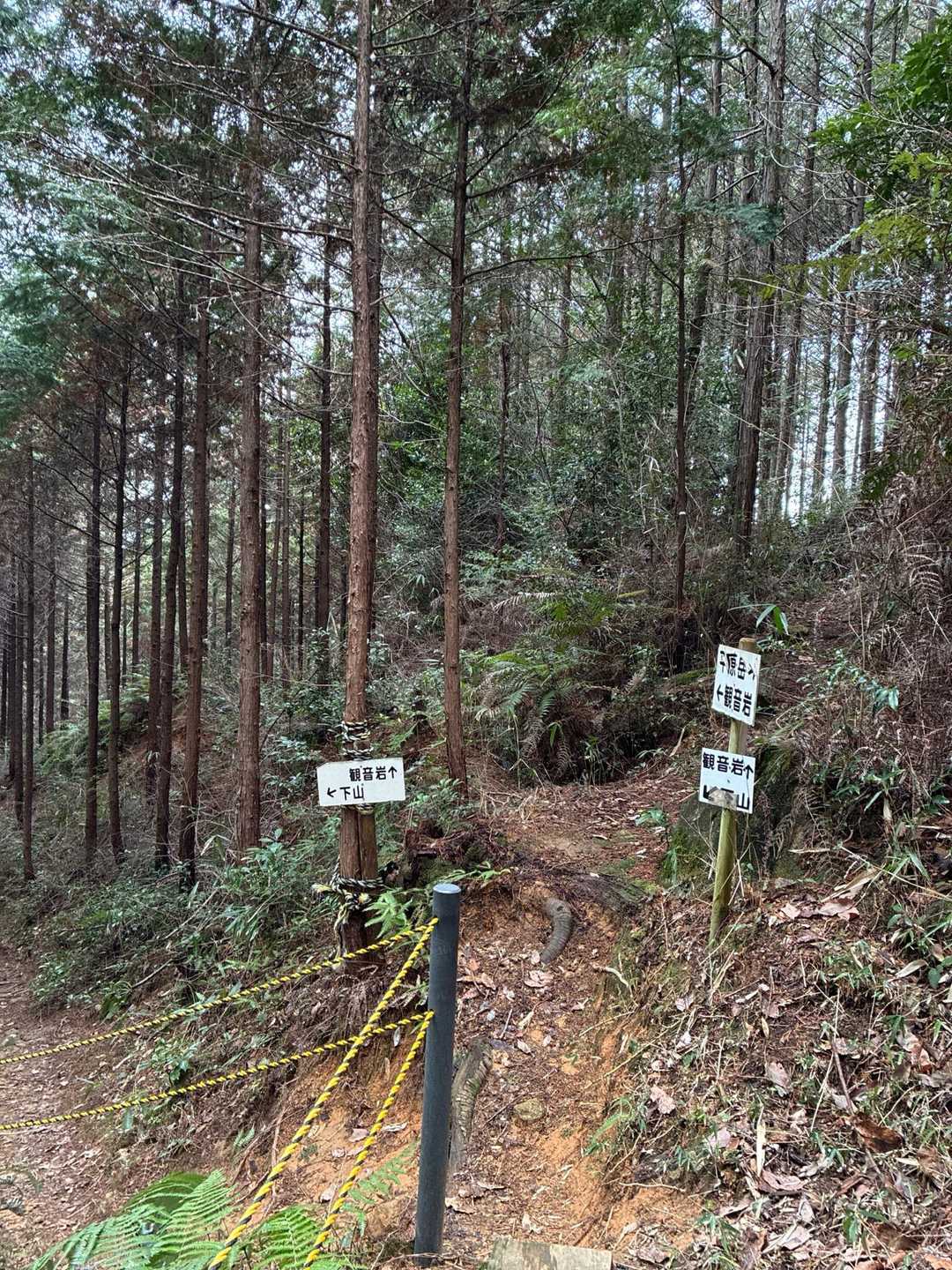 観音岩への分岐点に来た