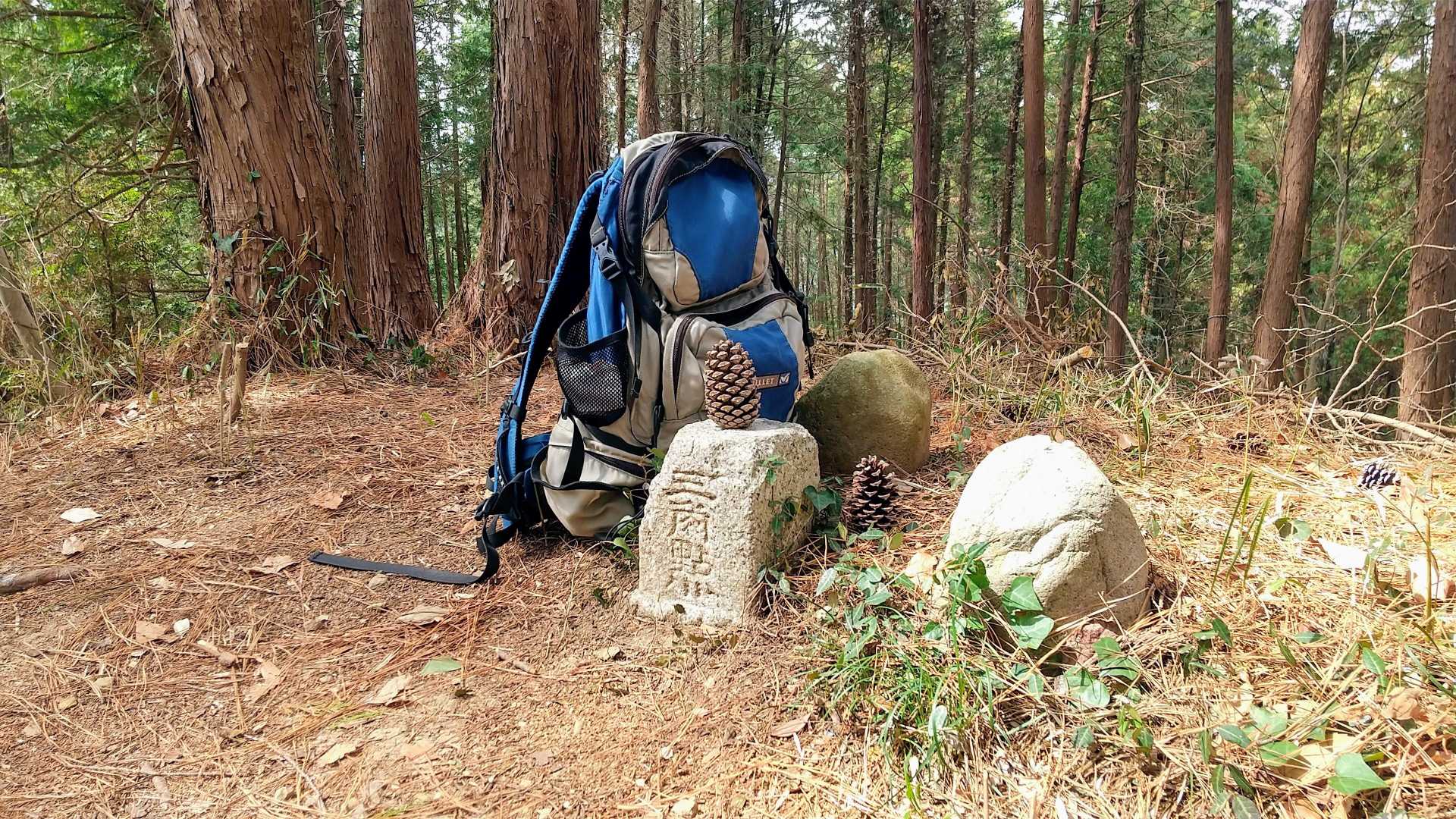 唐松山 三角点