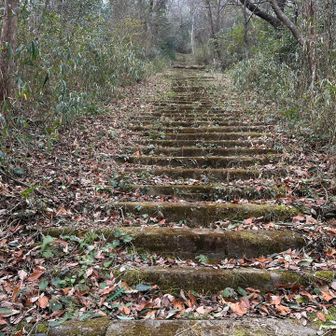 見えてるとこ全て階段で泣きそ