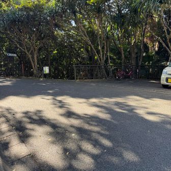 車道から別れ旭山へ向かいます。